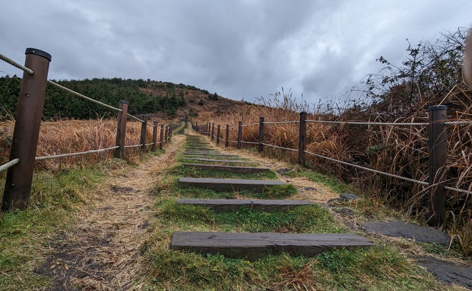 A picture depicting a verdant pathway towards the top of Baekyaki Oreum