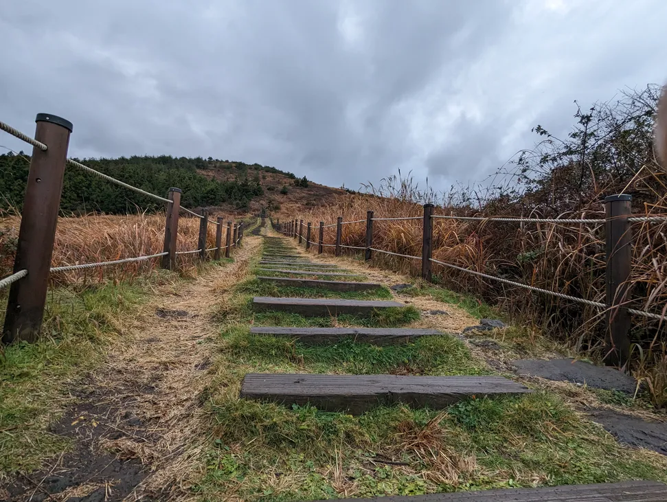A picture depicting a verdant pathway towards the top of Baekyaki Oreum