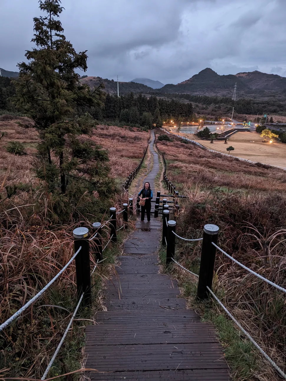 A picture depicting a verdant pathway from the top of Baekyaki Oreum, along with a man