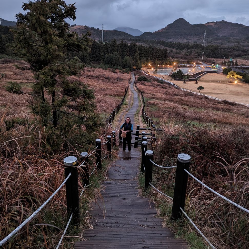 A picture depicting a verdant pathway from the top of Baekyaki Oreum, along with a man