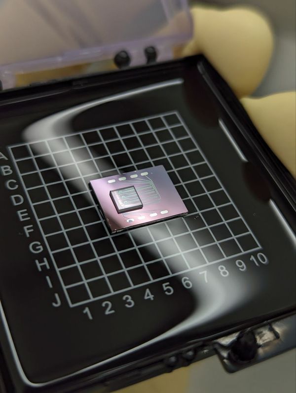 A photonic chip